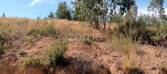 2250m² Land in Tondela, Portugal No. 88046 12