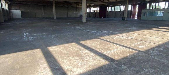 Entrepôt à Montichiari, Italy 1990m² No. 48312 21