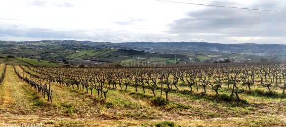  قطعة أرض في Alenquer, Portugal 217040متر مربع رقم 59503 2