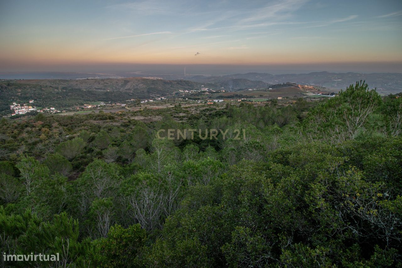  قطعة أرض في Alenquer, Portugal 217040متر مربع رقم 59503