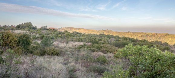  قطعة أرض في Alenquer, Portugal 217040متر مربع رقم 59503 48