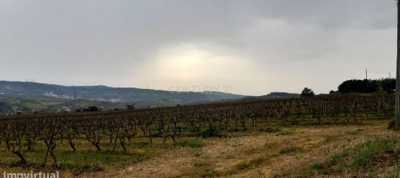  قطعة أرض في Alenquer, Portugal 217040متر مربع رقم 59503 16