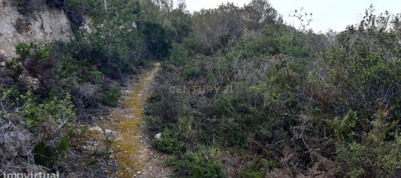  قطعة أرض في Alenquer, Portugal 217040متر مربع رقم 59503 30
