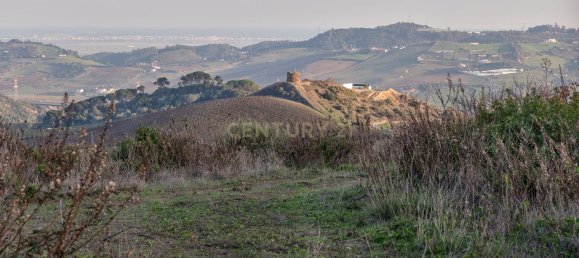  قطعة أرض في Alenquer, Portugal 217040متر مربع رقم 59503 49