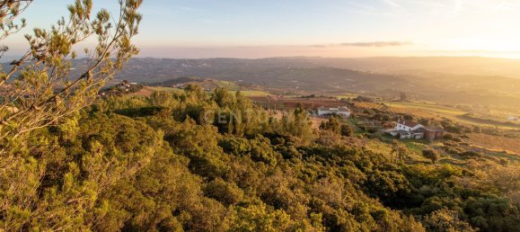  قطعة أرض في Alenquer, Portugal 217040متر مربع رقم 59503 42