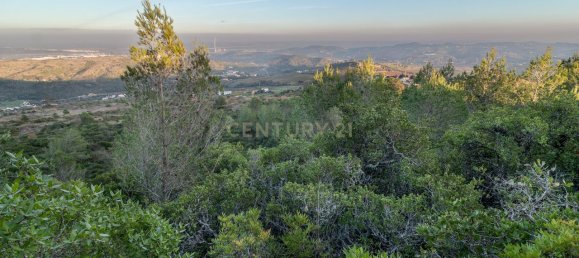  قطعة أرض في Alenquer, Portugal 217040متر مربع رقم 59503 44