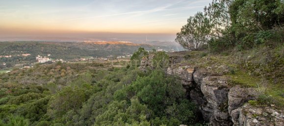  قطعة أرض في Alenquer, Portugal 217040متر مربع رقم 59503 41