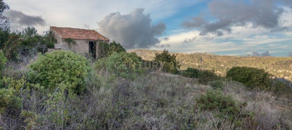  قطعة أرض في Alenquer, Portugal 217040متر مربع رقم 59503 47