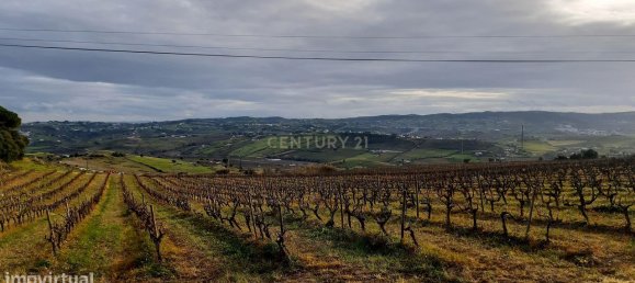  قطعة أرض في Alenquer, Portugal 217040متر مربع رقم 59503 20