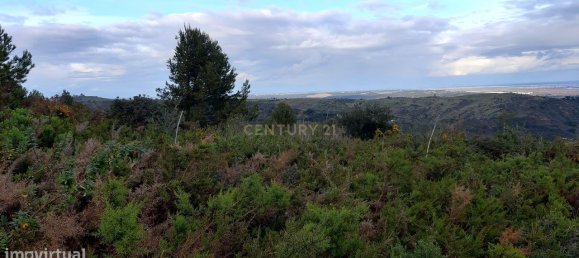  قطعة أرض في Alenquer, Portugal 217040متر مربع رقم 59503 37