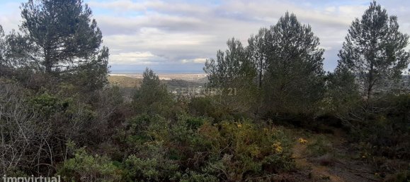  قطعة أرض في Alenquer, Portugal 217040متر مربع رقم 59503 29