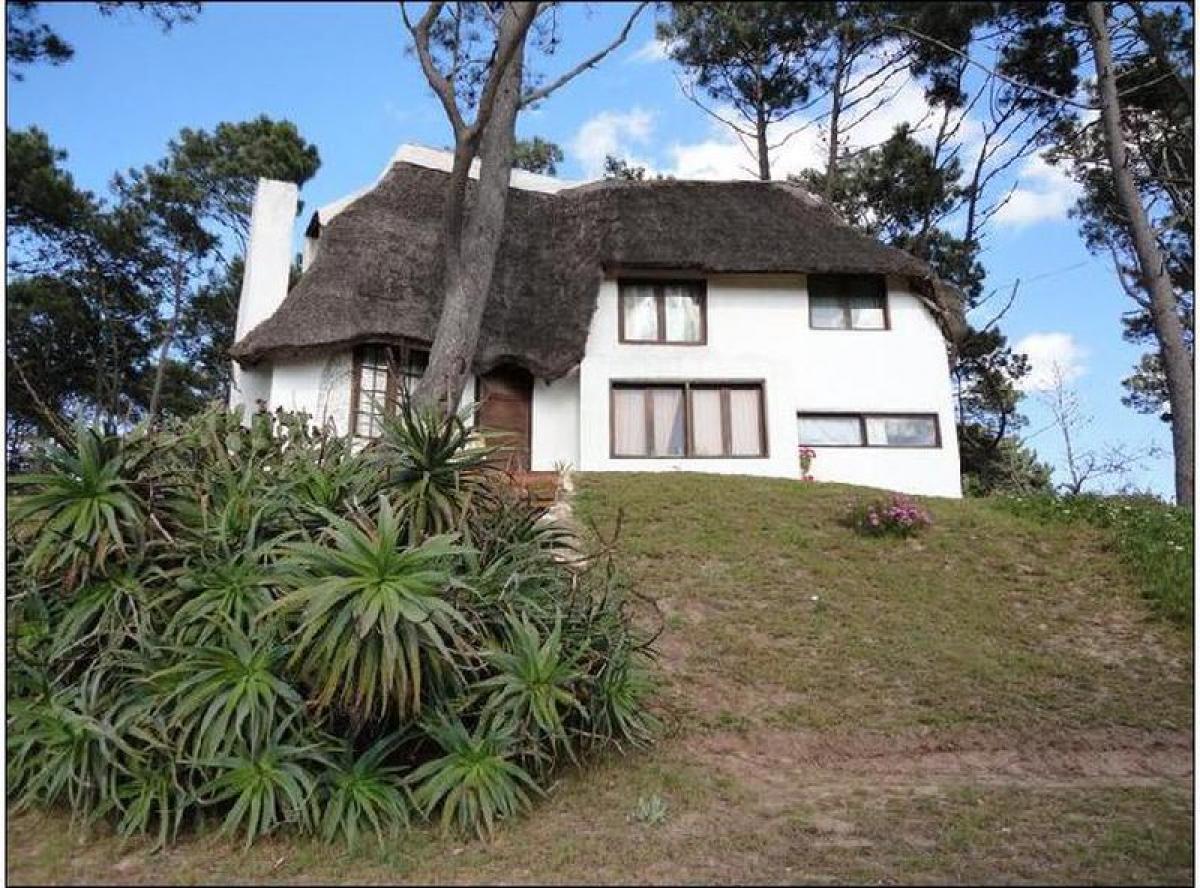 Casa T4 em Maldonado, Uruguay N.º 11075