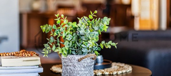 4 Schlafzimmer Haus in Albufeira, Portugal, Nr. 119879 9