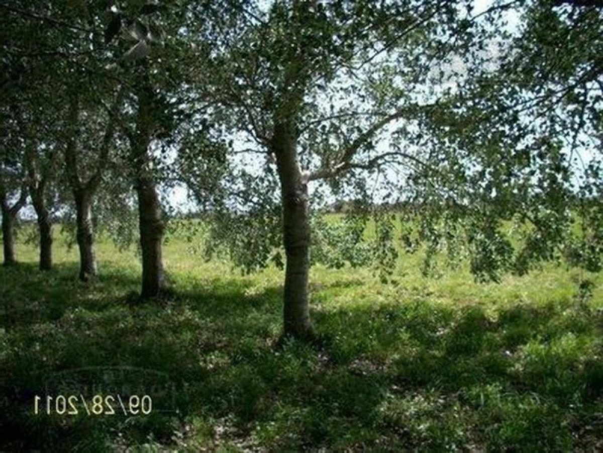 Grundstück in Chascomus, Argentina, Nr. 40471