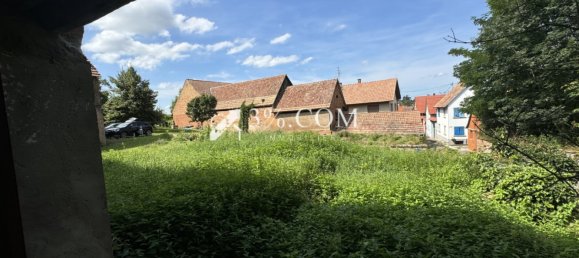 4 غرف نوم فيلا في Saessolsheim, France رقم 252265 10