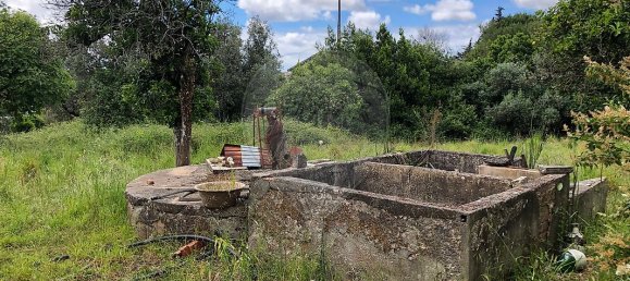 4 Schlafzimmer Haus in Granja do Ulmeiro, Portugal, Nr. 33856 8