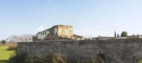 13500m² Land in Muro, Spain No. 170084 3