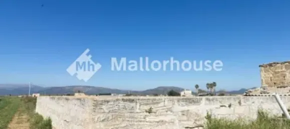 13500m² Land in Muro, Spain No. 170084 17