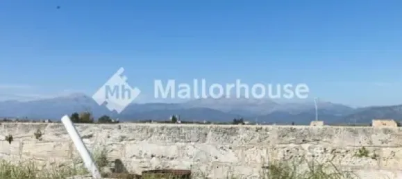 13500m² Land in Muro, Spain No. 170084 13