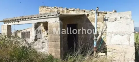 13500m² Land in Muro, Spain No. 170084 8