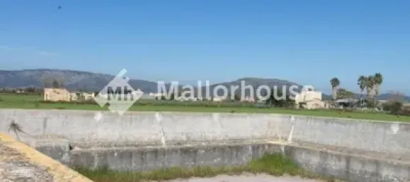 13500m² Land in Muro, Spain No. 170084 20