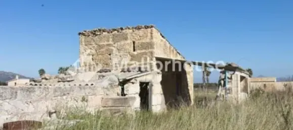 13500m² Land in Muro, Spain No. 170084 4