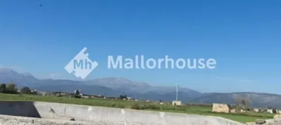 13500m² Land in Muro, Spain No. 170084 14