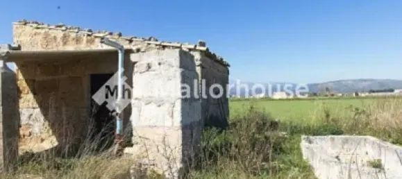 13500m² Land in Muro, Spain No. 170084 9