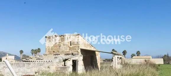 13500m² Land in Muro, Spain No. 170084 19