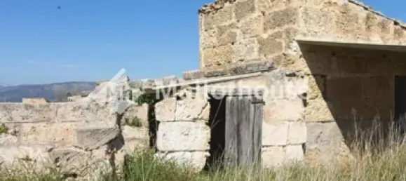 13500m² Land in Muro, Spain No. 170084 12