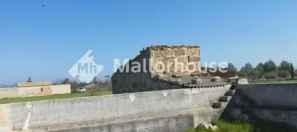 13500m² Land in Muro, Spain No. 170084 2