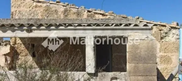 13500m² Land in Muro, Spain No. 170084 6