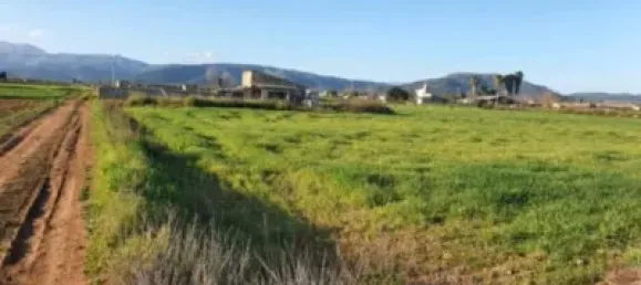 13500m² Land in Muro, Spain No. 170084 21