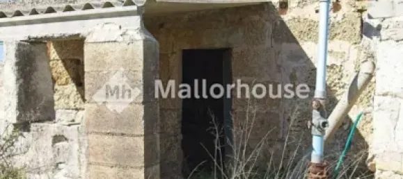 13500m² Land in Muro, Spain No. 170084 7