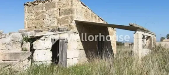 13500m² Land in Muro, Spain No. 170084 5