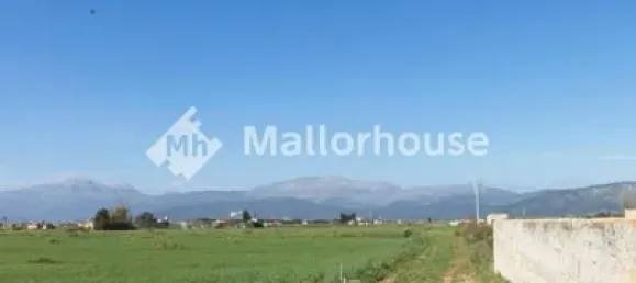 13500m² Land in Muro, Spain No. 170084 16