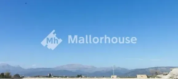 13500m² Land in Muro, Spain No. 170084 15