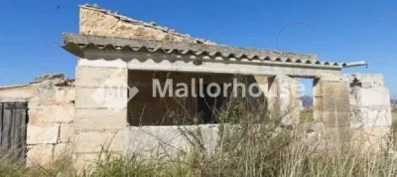 13500m² Land in Muro, Spain No. 170084 10