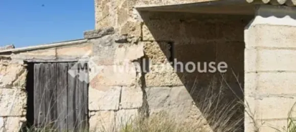 13500m² Land in Muro, Spain No. 170084 11