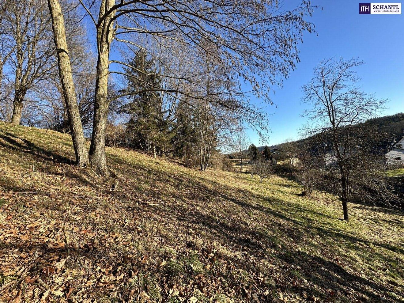 Grundstück in Fernitz-Mellach, Austria, Nr. 145971