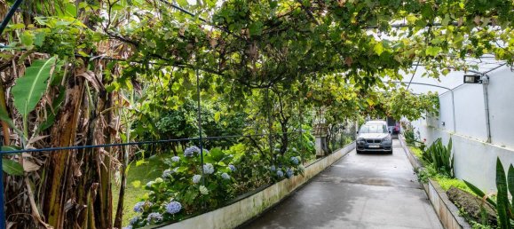 9 غرف نوم منزل في Lagoa, Portugal رقم 36061 43