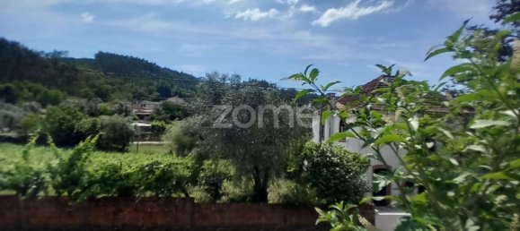 4 Schlafzimmer Haus in Mortagua, Portugal, Nr. 213358 3