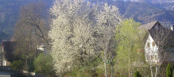 4-salle Maison à Finkenstein am Faaker See, Austria No. 193258 5