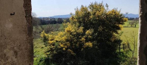 5-salle Maison à Pitigliano, Italy No. 229757 6