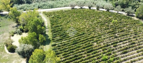 قطعة أرض في Giulianova, Italy رقم 311938 5