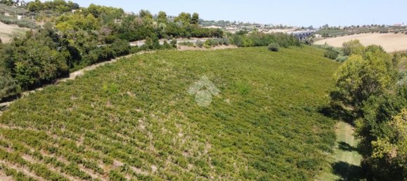 قطعة أرض في Giulianova, Italy رقم 311938 4