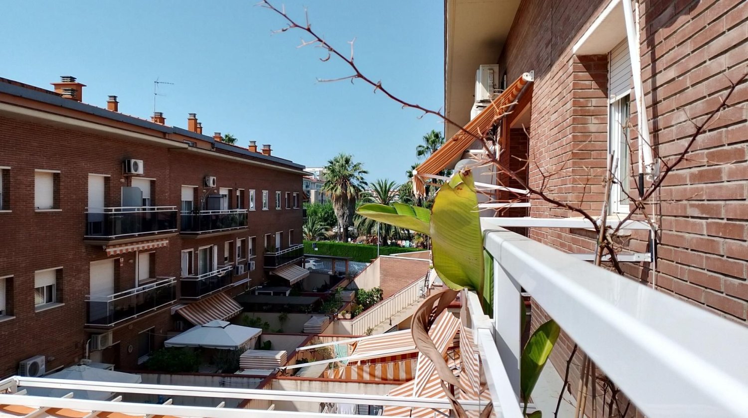 3 chambres Duplex à Pineda de Mar, Spain No. 261172