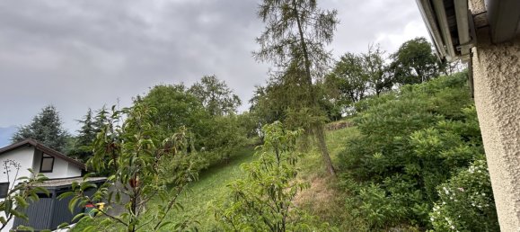 Studio in Rothis, Austria No. 64911 12