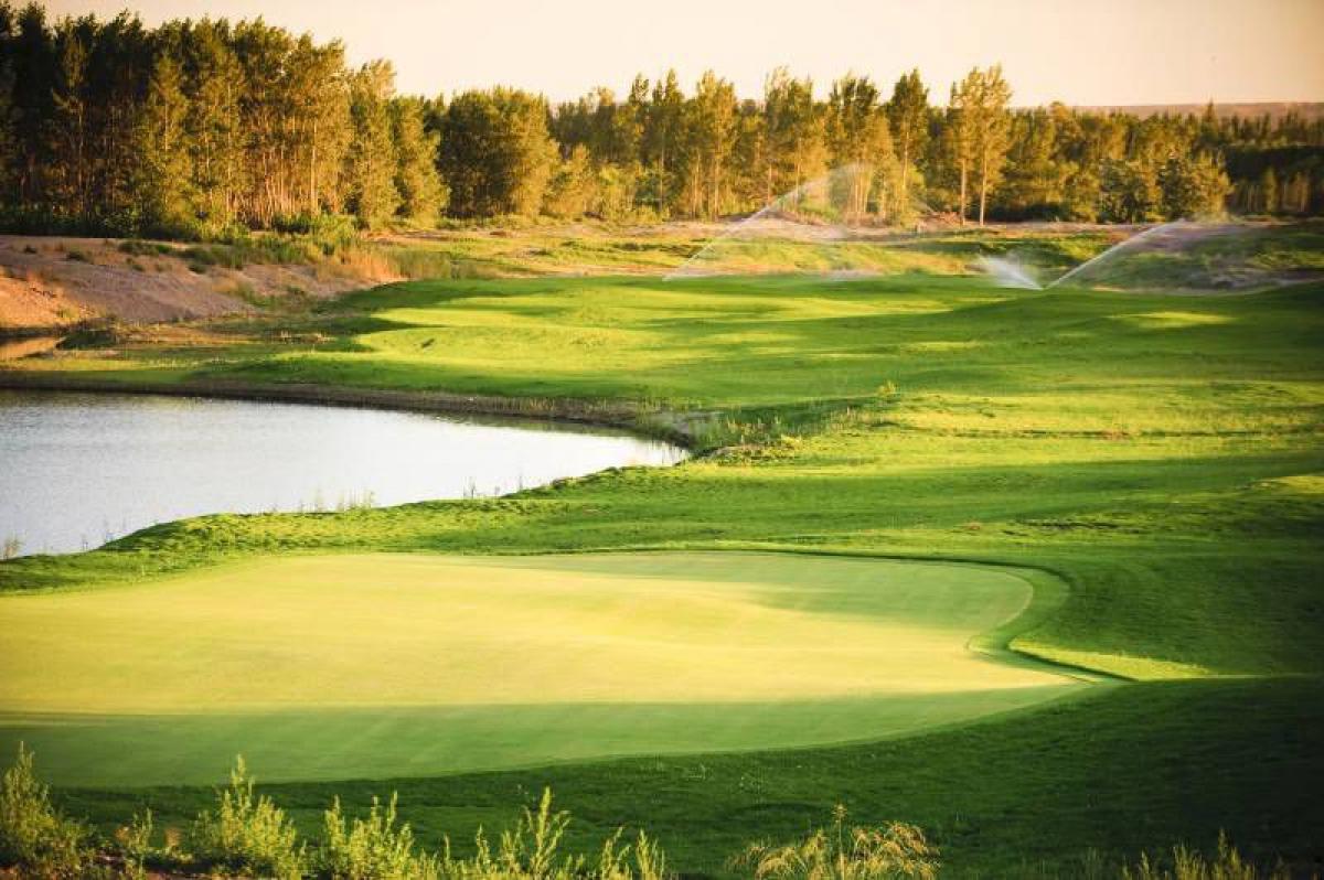  Land in Neuquen, Argentina No. 42592