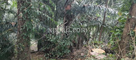 Земельный участок 3200м² в Tabanan, Индонезия № 3737 3